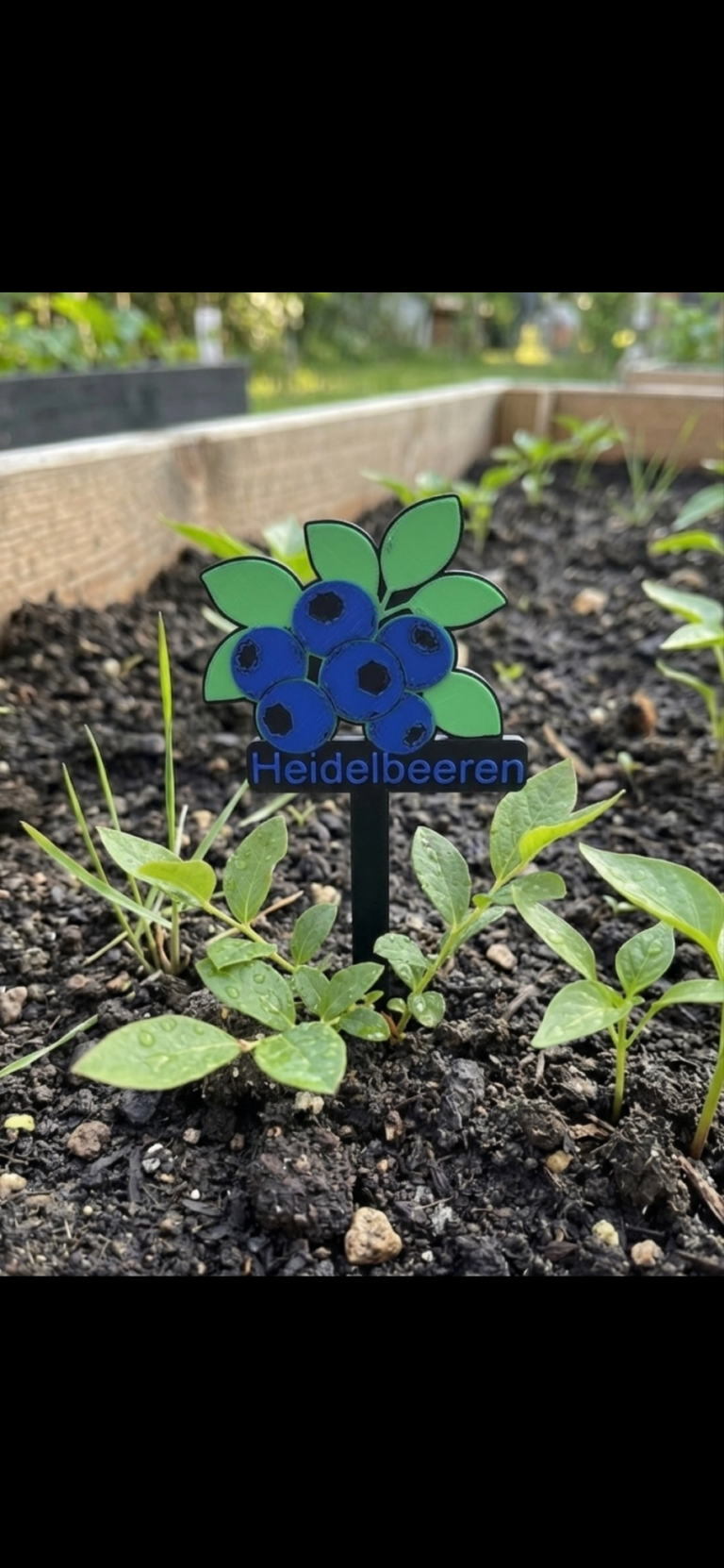 Blaubeerschild mit blauen Blumen und grünen Blättern in einer Gartenumgebung.