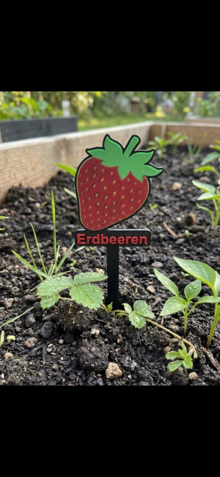 Ein Erdbeer-Schild auf einem Beet mit frischen Pflanzen im Hintergrund.